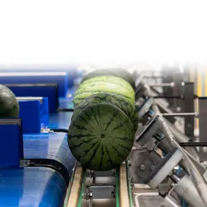 Sistema de seguimiento de tamaño inteligente de máquina automática agrícola de rendimiento eficiente de alta calidad para frutas y verduras redondas