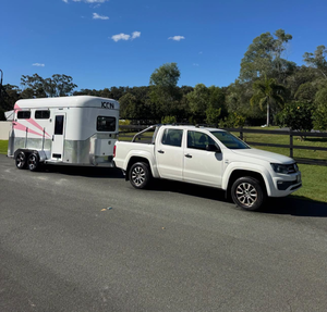 Remorque pour chevaux ICON 2HAL, nouvelle, pour 2 chevaux, chargement par l'angle, 3500 kg, en aluminium, remorque pour chevaux, caravane équine, L860 SN, à prix avantageux - Product Image 2