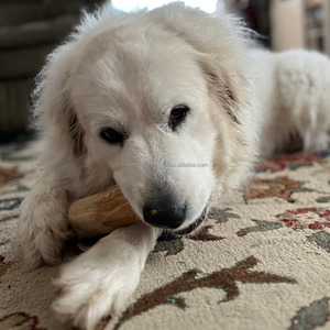Jouet à mâcher en bois de café durable et écologique pour chiens, favorise la santé dentaire, jouet interactif pour chien adapté à l'entraînement - Product Image 1