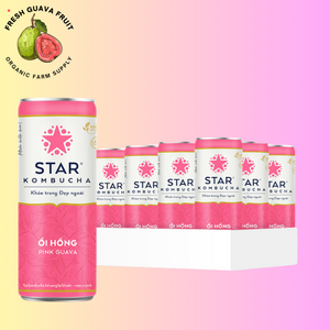 Venta al por mayor Star Kombucha Pink Guava 250ml - Product Image 3
