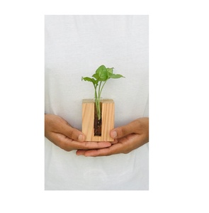 Florero de madera decorativo de espacio de lujo, maceta de estilo moderno multicolor y maceta de escritorio para la decoración del hogar y la sala de estar - Product Image 1