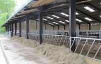 Structure de ferme d'élevage en acier préfabriqué |   Construction d'un abri pour animaux |   Abri agricole pour bovins, moutons et chèvres