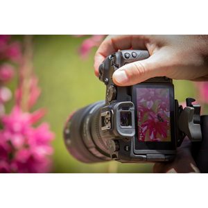 Appareil photo hybride plein format d'occasion 26,2 mégapixels Dual Pixel avec objectif RF 24-105mm F4-7.1 IS STM, écran tactile multi-angle et vidéo 4K Dual Pixel - Product Image 2