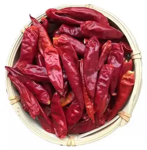 热辣椒全香料最畅销的单一草药和香料干辣椒，用于食物和烹饪