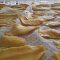 Tropische Fruit Snack Zachte Gedroogde Mango ISO/HACCP Gecertificeerd Hoge Kwaliteit Natuurlijk Zoet 3-5% Suiker Monster Vietnam +84 379 472 573