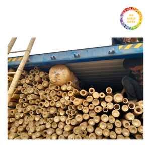 ด้ามไม้ไผ่จากเวียดนามสำหรับตัดและคัดแยกเพื่อใช้ในอุตสาหกรรมรวมถึงโครงสร้างสวนและโครงการกรอบ - Product Image 2