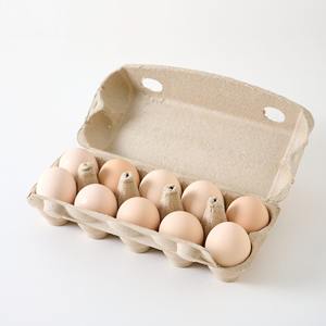 Œufs de table de poulet frais et œufs à couver fécondés, œufs blancs et bruns - Product Image 4