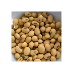 Soja Orgánica Premium Seca, 25 kg, Empacada a Granel desde Bélgica para Compradores Mayoristas - Product Image 6