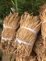Harga Grosir Eceng Gondok, Eceng Gondok Kering (Eichhornia Crassipes) Berkualitas Tinggi, Eceng Gondok Untuk Kerajinan