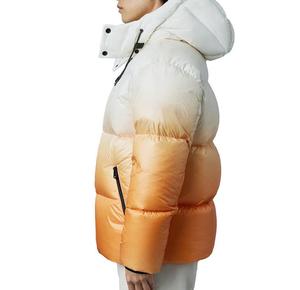 Wholesale Men's Winter Puffer <b>Jacket</b> Waterproof Windproof Stand Printed Polyester Hood Custom Logo Woven Fabric High Street - Product Image 3