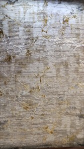 Alfombra de Yute Adiva Moderna, Hecha a Máquina, de Polipropileno Turco, Jacquard, Tejida, de Pelo Alto, Acolchada, con Diseño Floral, Grosor Medio - Product Image 2