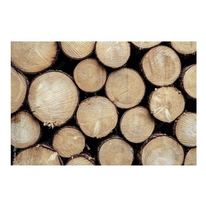 Bûches rondes en épicéa pour un emballage et une mise en caisse efficaces - Product Image 4