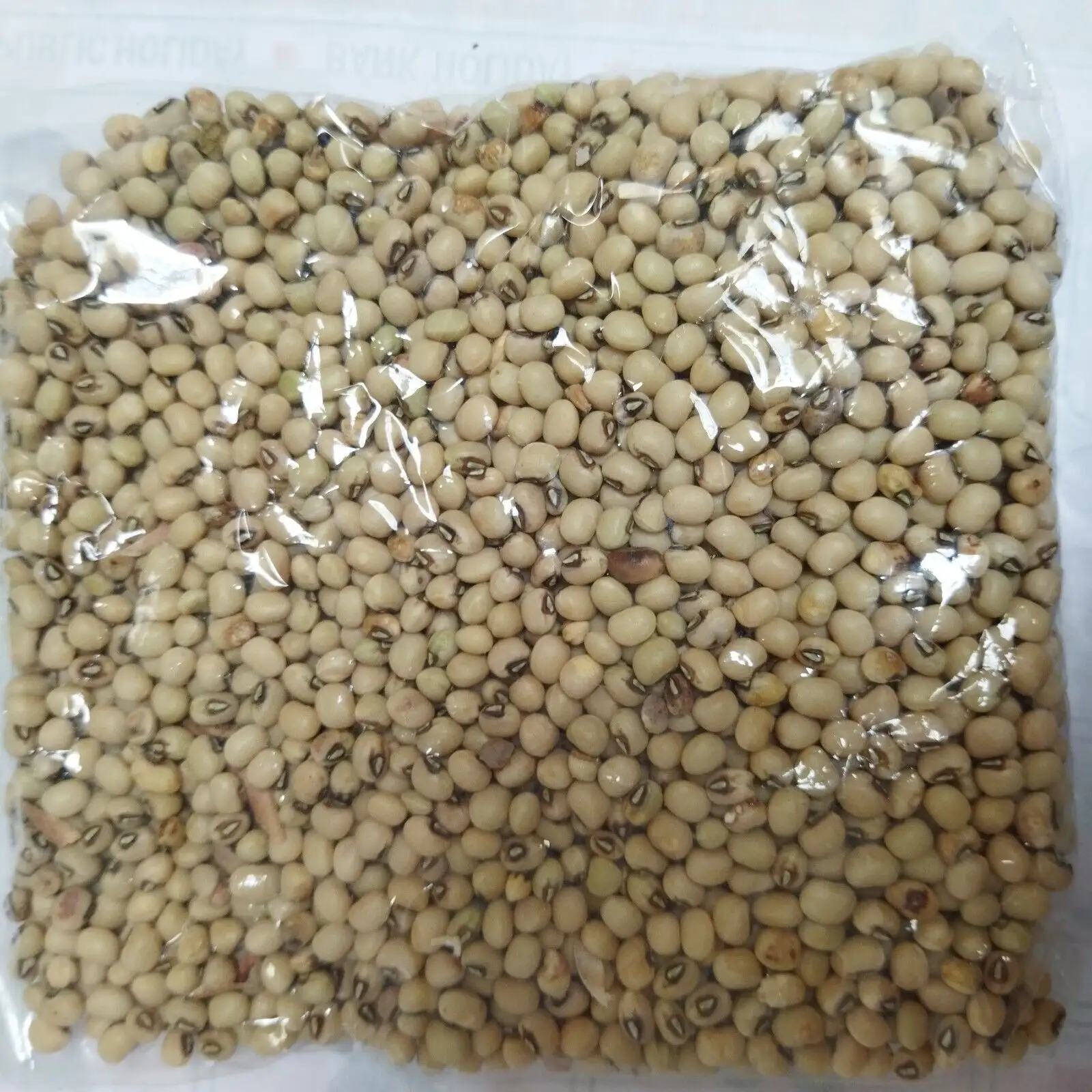 Kacang tunggangan hitam putih kalengan kacang penutup mata hitam untuk ekspor