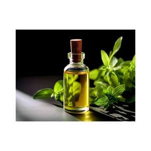 Venta caliente 100% Aceite esencial de albahaca orgánica natural a precio mayorista - Product Image 4