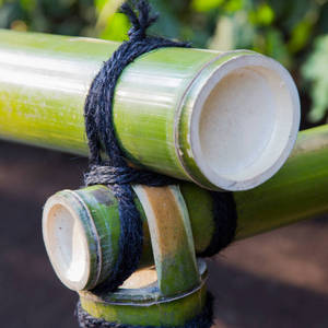 Materiales de Construcción de Bambú, Postes Estructurales Tratados Antitermitas, Grandes, Resistentes, Tamaño Personalizado - Product Image 6
