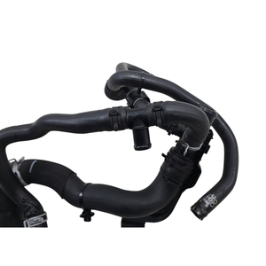 Manguera Inferior del Radiador para Ford Focus ST-LINE Sedán (MK4) JX61-8B273-F R0DB Hybrid 1000 (18>) - Product Image 6