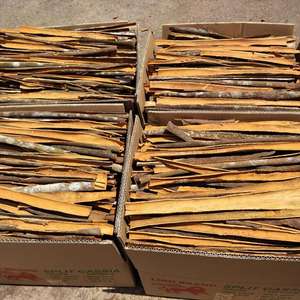 EXPAD VIETNAM CANELA FRESCA SPLIT CINNAMON CASSIA CON ALTA CALIDAD CON BUENA CANTIDAD - Product Image 4