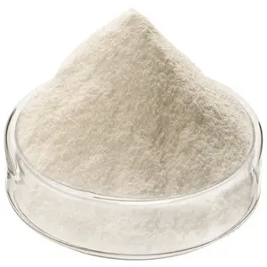 Whole Milk Powder / Skimmed Milk Powder / Condensed Milk