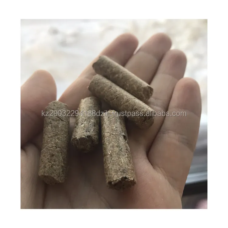 Crusca di frumento mangime per animali dal kazakistan fornitore affidabile crusca di frumento sfusa di alta qualità