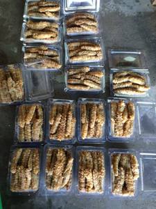 Chất lượng cao khô dưa chuột biển phong cách tươi Thổ Nhĩ Kỳ seacucumber từ Việt Nam Tính năng thiên nhiên trepang - Product Image 5