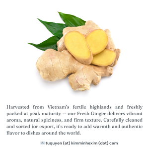 Raíz de jengibre fresco Premium de Vietnam, calidad de exportación a granel para exportación - Product Image 4
