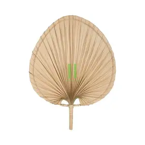 Best Selling Palm Leaf Mão Fan Wall Decor Sala De Estar Ou Quarto OEM Personalizado Vietnam Handmade Fábrica Diretamente