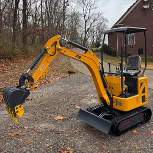 LIVRAISON GRATUITE EPA CE Approuvé ZJ-12 Tout neuf Mini-excavatrice sur chenilles de 1 tonne Moteur à essence Briggs de 15 ch 0,3 h Moteur à essence Open ROPS Pouce hydraulique - Product Image 1