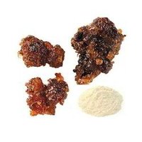 Extrait de Commiphora Mukul Guggul en Résine Pure de Haute Qualité en Gros 10:1, Poudre Naturelle de Qualité Alimentaire Extraite par Solvant, Tamis 80 Mesh