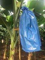 Blauwe PP plastic zak voor bananenbundels in de landbouw, beschermt tegen insecten en dieren met warmteverzegeling