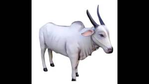 Venta caliente escultura de Cruz occidental personalizada estatuas de vaca indias religiosas en mármol negro suministros de jardín venta estilo de entrenamiento - Product Image 2