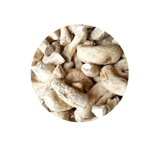 เท้าเห็ดหอม2024/เห็ดหอมมีสารอาหารมากมาย-เดลต้า Viet - Product Image 1