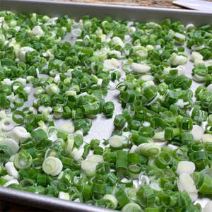 COUPE D'OIGNON VERT CONGELÉ DE HAUTE QUALITÉ/ENTIER CONVIÉ POUR LES SOUPES ET LES NOUILLES DU FOURNISSEUR VIETNAMIEN SUPÉRIEUR - Product Image 4