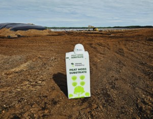 Substrat d'empotage de mousse de tourbe professionnel de haute qualité pour les plantes en pot myrtilles de fleurs et de légumes - Product Image 3