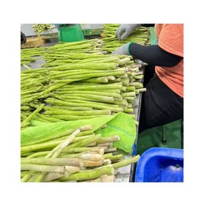 Bon prix asperges congelées Offre Spéciale légumes surgelés asperges prêt à l'exportation en vrac - Product Image 2
