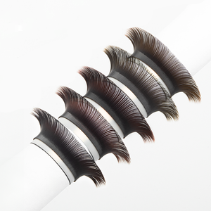 CharmLash Mixed Brown CC Curl Lashes Bandejas Featherlight Soft Matte Worldwide Shipping OEM ODM Hecho de fibra PBT coreana - Product Image 1