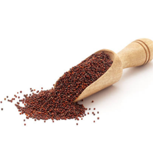 Ragi (Millet à doigts) biologique certifié - Riche en fer et en calcium, céréale complète, origine indienne - Product Image 2