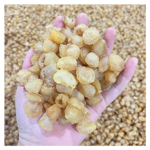 El mejor longan seco de Vietnam, longan seco de alta calidad con aroma dulce natural hecho de fruta madura sin aceite sin grasa para exportación - Product Image 4