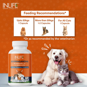 Soutien à base de plantes Ashwagandha de haute qualité pour le bien-être des animaux de compagnie Soins de santé et suppléments pour animaux de compagnie rentables en gros - Product Image 4