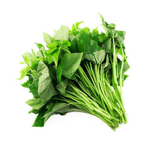 Hojas de Camote Mezcladas Listas para Usar para Procesamiento de Alimentos, Catering y Restaurantes - Product Image 1