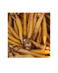 รากสมุนไพรจากธรรมชาติคราไคแช่แข็งสำหรับการรับประทานอาหารที่สะอาดและการสนับสนุนทางเดินอาหารโดยไม่มีสารเติมแต่ง - Product Image 1