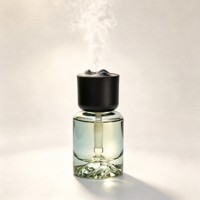 Mini diffuseur d'arômes en verre, humidificateur portable, diffuseur de parfum électrique pour la maison, le bureau et la voiture, Astree