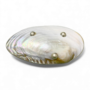 จานเปลือกหอยมุกธรรมชาติสำหรับตกแต่ง ใช้เสิร์ฟของหวาน และโชว์เครื่องประดับ ผลิตในเวียดนาม - Product Image 3