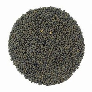 Lentilles vertes biologiques naturelles séchées en vente en gros - Product Image 1