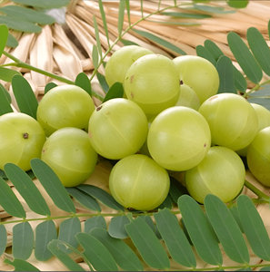 Polvo de grado alimenticio de extracto de Amla orgánico certificado Embalaje de bolsa de ingrediente activo solvente de hesperidina de cítricos a base de hierbas de alta calidad - Product Image 3