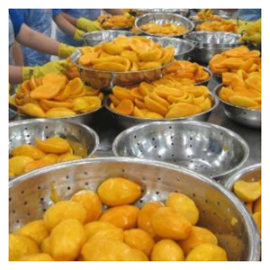 Frozen Mango with Tropical Taste, Frozen Mango Slices and Chunks from Vietnam Used in <b>Smoothies</b>, Juices, and Fruit <b>Cups</b> - Product Image 2