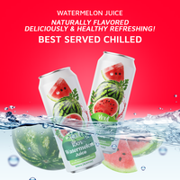 Bebida de Jugo de Sandía de 500 ml, Fabricante de Bebidas Sin Azúcar de Marca Privada OEM ODM