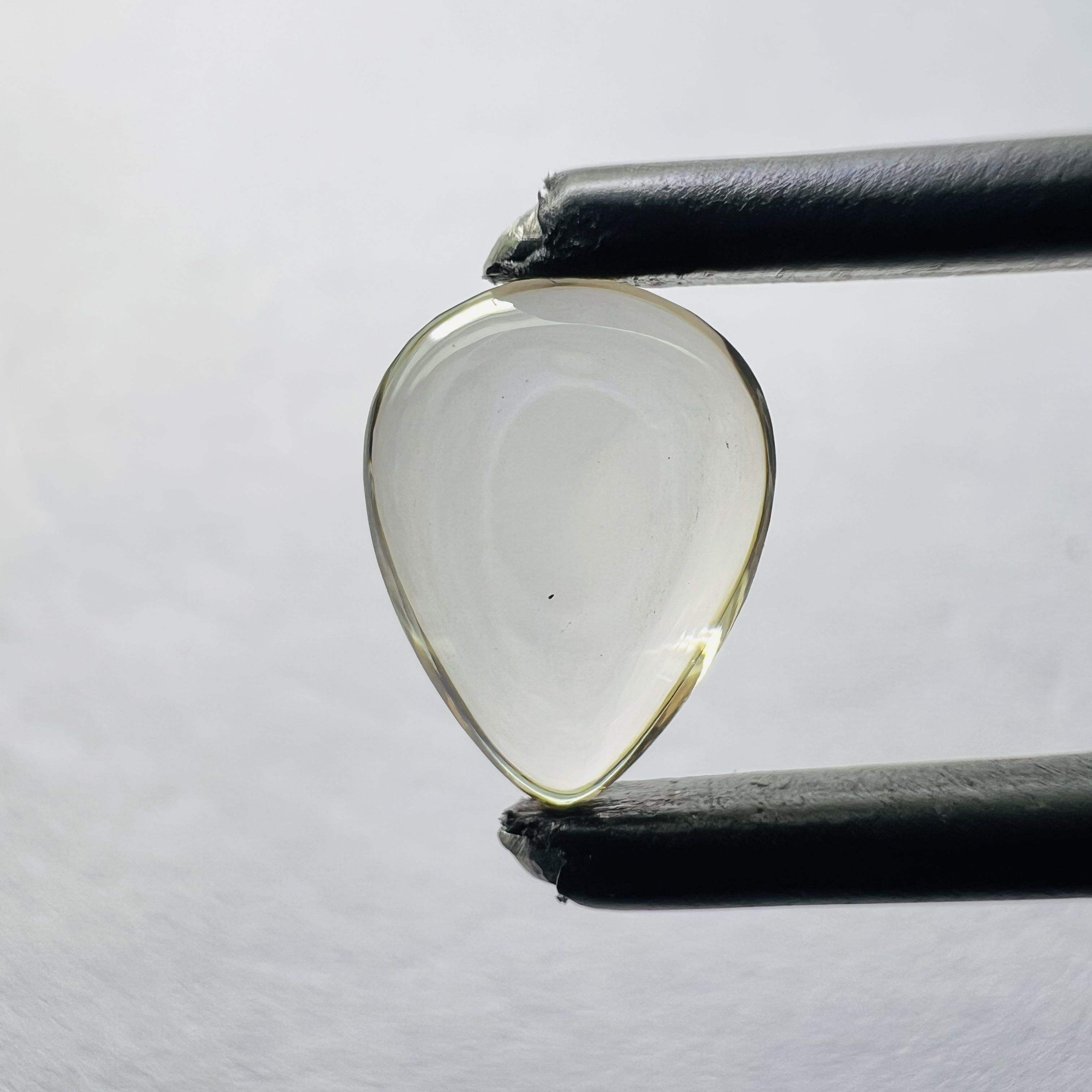 Comme spectacle dans l'image