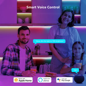 Tira <span class=keywords><strong>de</strong></span> luz LED AC220V controlada por voz <span class=keywords><strong>de</strong></span> <span class=keywords><strong>Alexa</strong></span> y Google, tira <span class=keywords><strong>de</strong></span> luz LED multicolor con cubierta <span class=keywords><strong>de</strong></span> silicona - Product Image 3