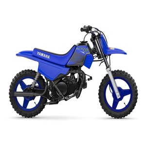 BEST DEAL Nouveau 2024/2025 PW 50 Dirt Bike - Product Image 1