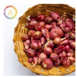 EXPORT STANDARD <b>DRIED</b> SHALLOT PURPLE <b>ONION</b> FROM VIETNAM FOR GLOBAL IMPORTERS AND DISTRIBUTORS - Product Image 1